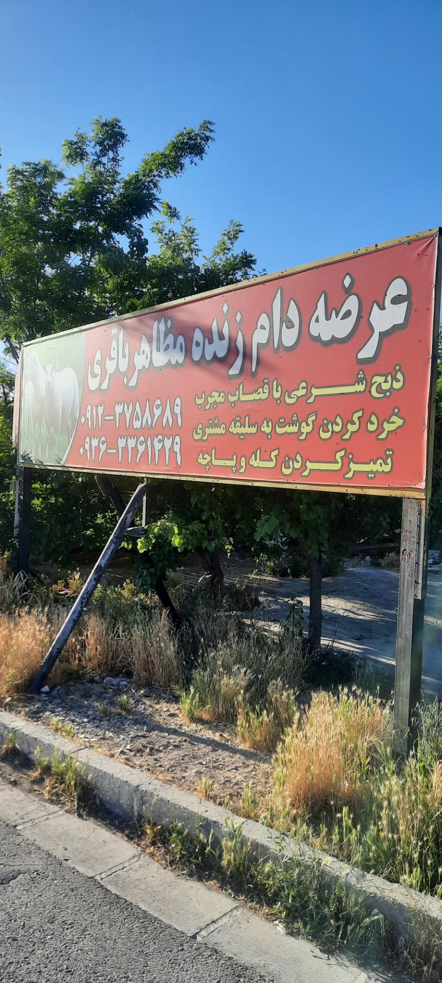 عکس عرضه دام زنده مظاهر باقری