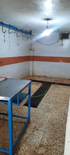 عکس عرضه دام زنده مظاهر باقری