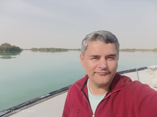 عکس جنگل های حرا