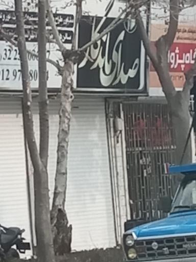 عکس صدای ماندگار 