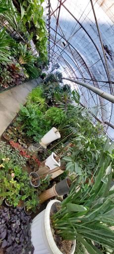 عکس شهر گل ۲ 