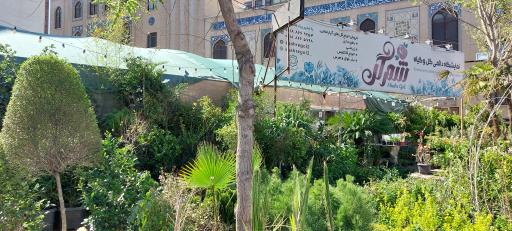 عکس شهر گل ۲ 