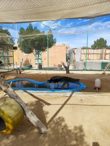 عکس سرزمین کروکودیل ها