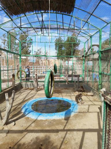 عکس سرزمین کروکودیل ها