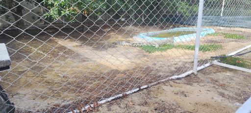 عکس سرزمین کروکودیل ها