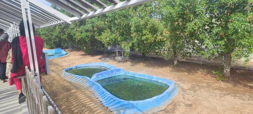 عکس سرزمین کروکودیل ها