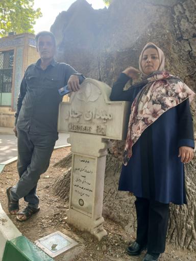 عکس چنار دوهزار ساله محلات