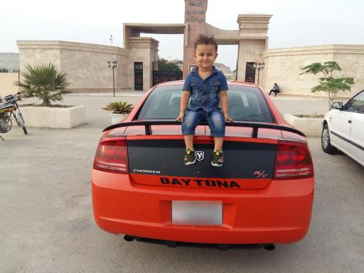 عکس سرزمین کروکودیل ها