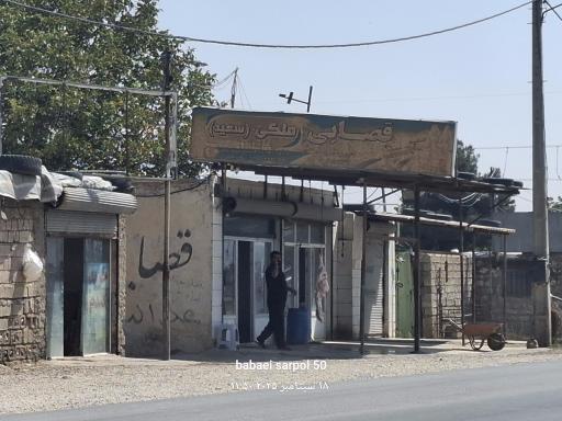 قصابی محمد ملکی