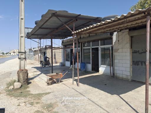 قصابی محمد ملکی