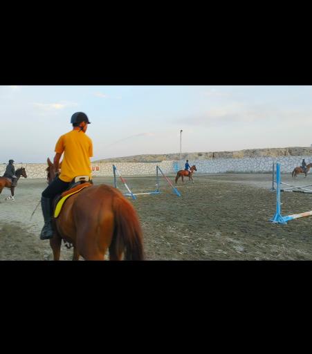 عکس باشگاه سوارکاری و پرورش اسب آرتان 