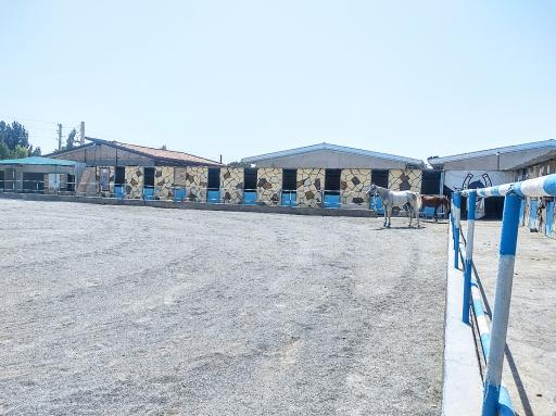 عکس باشگاه سوارکاری و پرورش اسب آرتان 