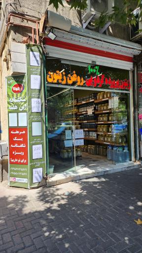 عکس زیتونیا
