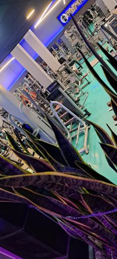 عکس باشگاه بدنسازی فیزیک پرو