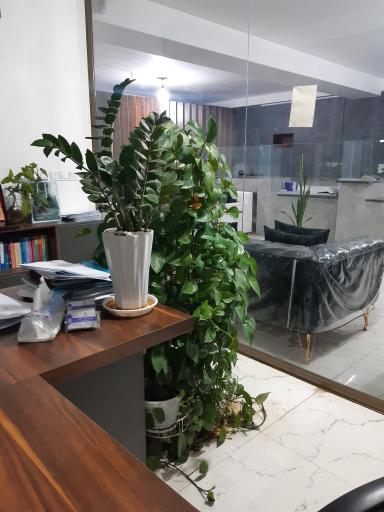 عکس دفتر اسناد رسمی ۲۴۰ مشکین دشت