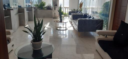 عکس دفتر اسناد رسمی ۲۴۰ مشکین دشت