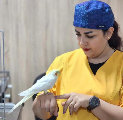 عکس کلینیک دامپزشکی دکتر نازنین کلانتری