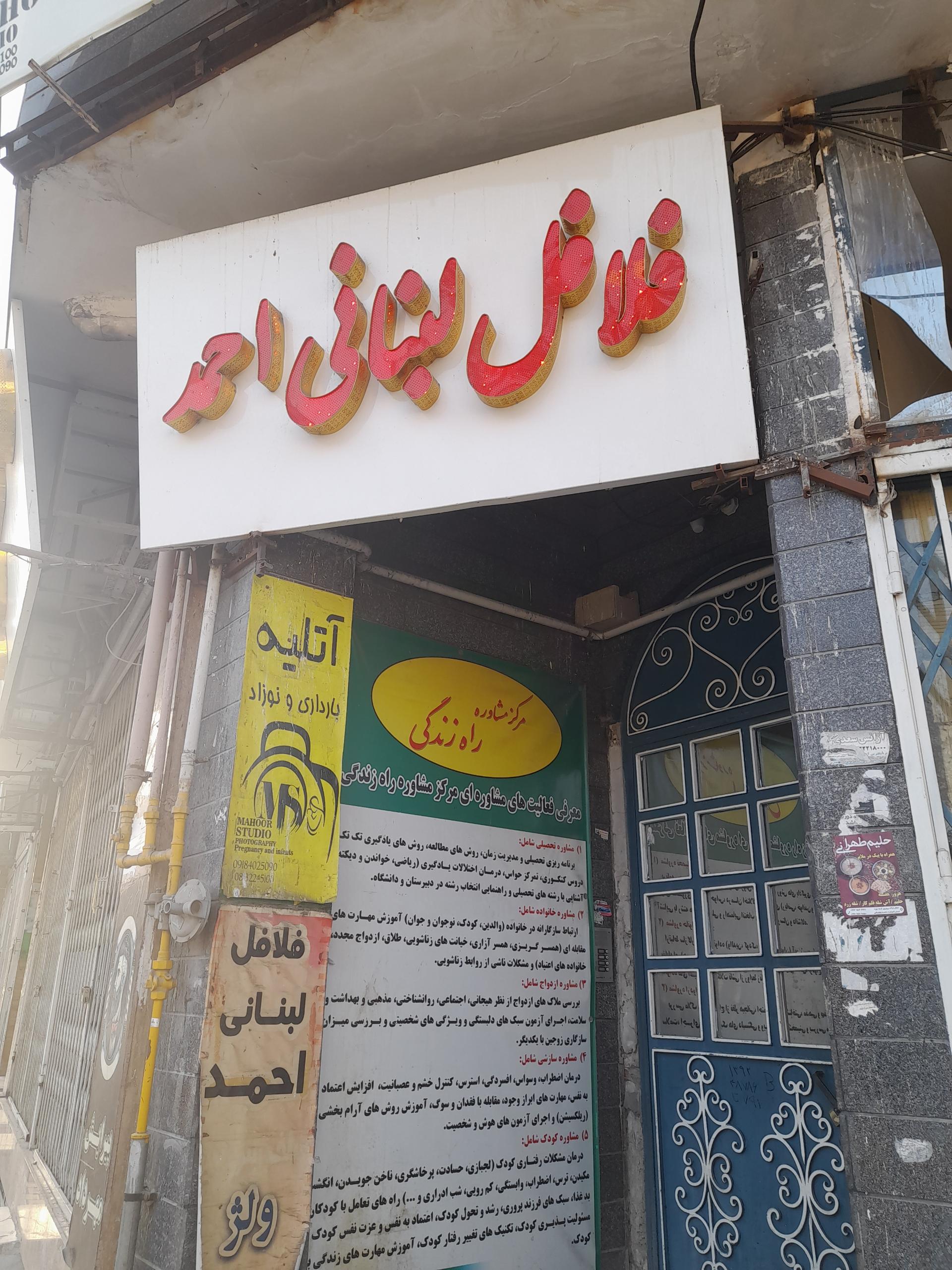 عکس فلافل لبنانی احمد