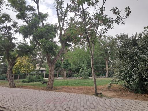 عکس بوستان پرستو 2