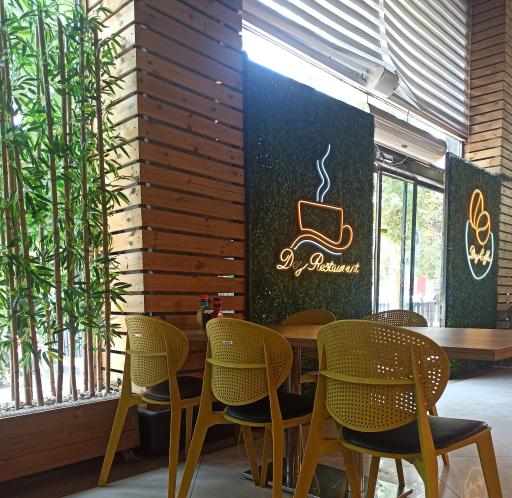 عکس پیتزا دی