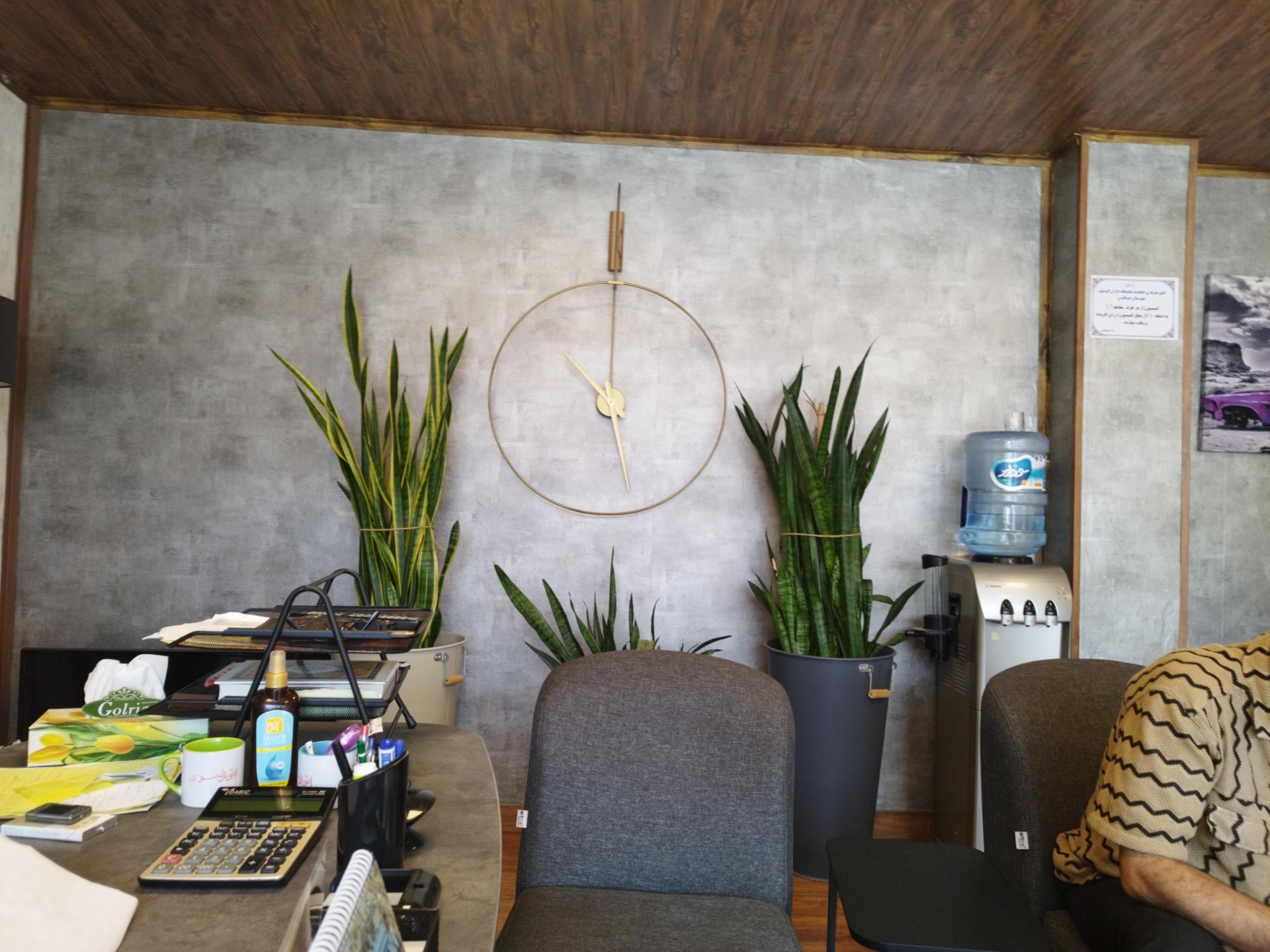 عکس اتو رضوی