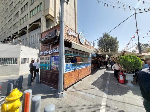 عکس آقای ماهی 