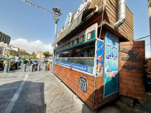 عکس آقای ماهی 