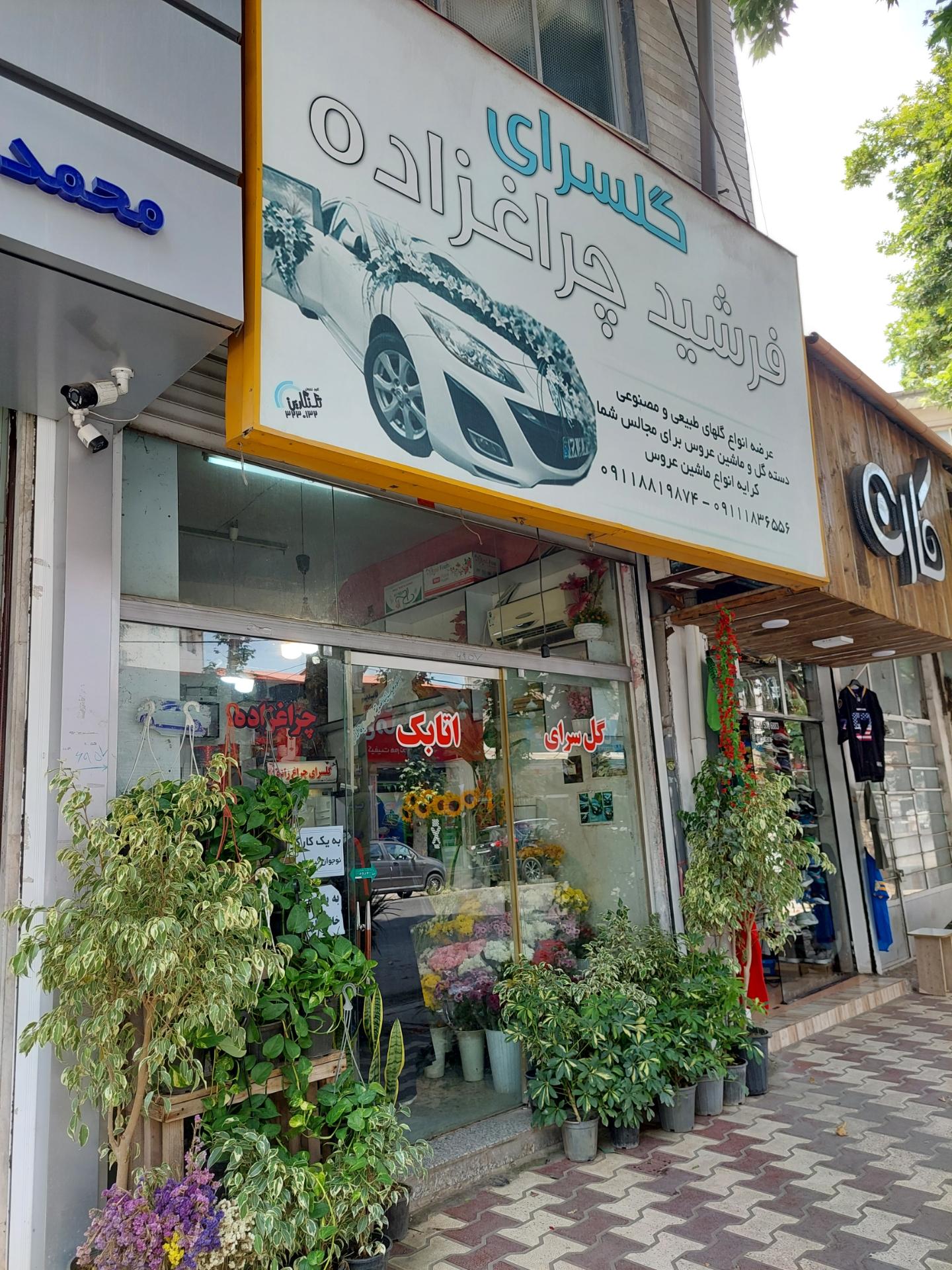 عکس گل سرای اتابک