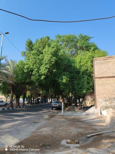 عکس پارک فلامینگو
