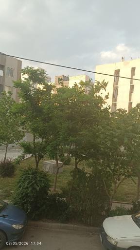 عکس بوستان محراب