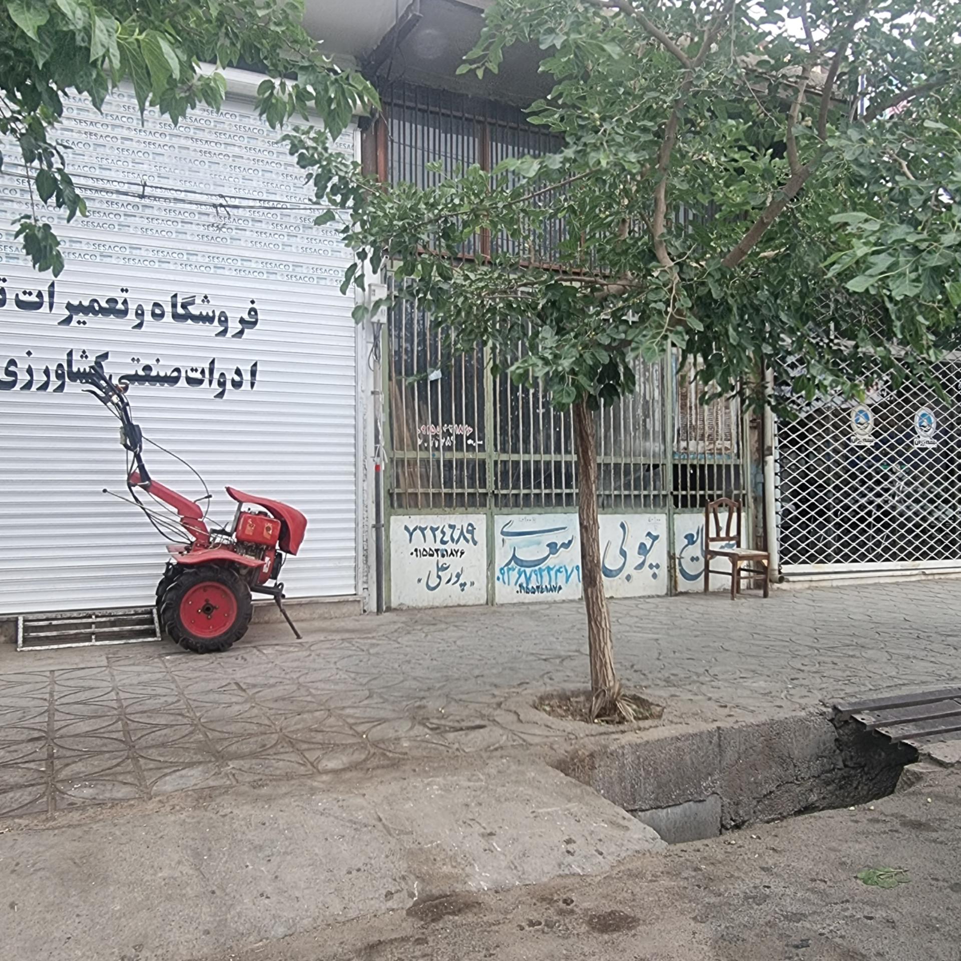 عکس صنایع چوبی سعدی 