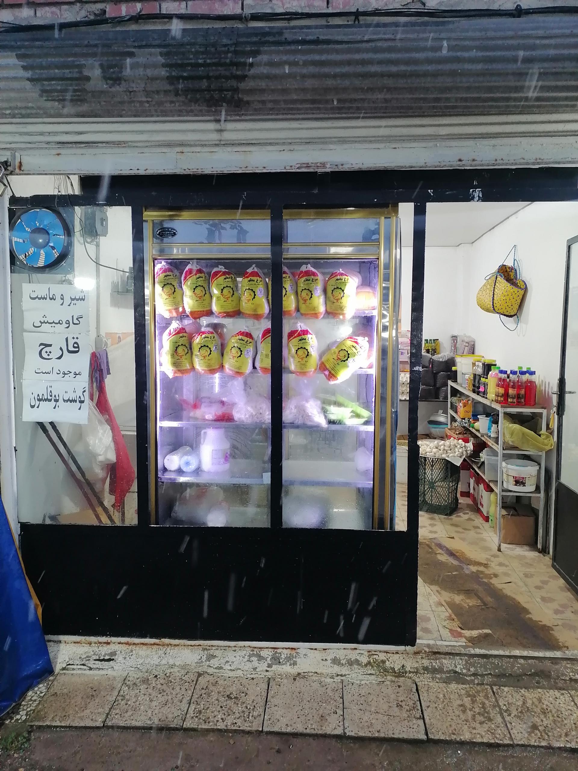 عکس مرغ و ماهی باران