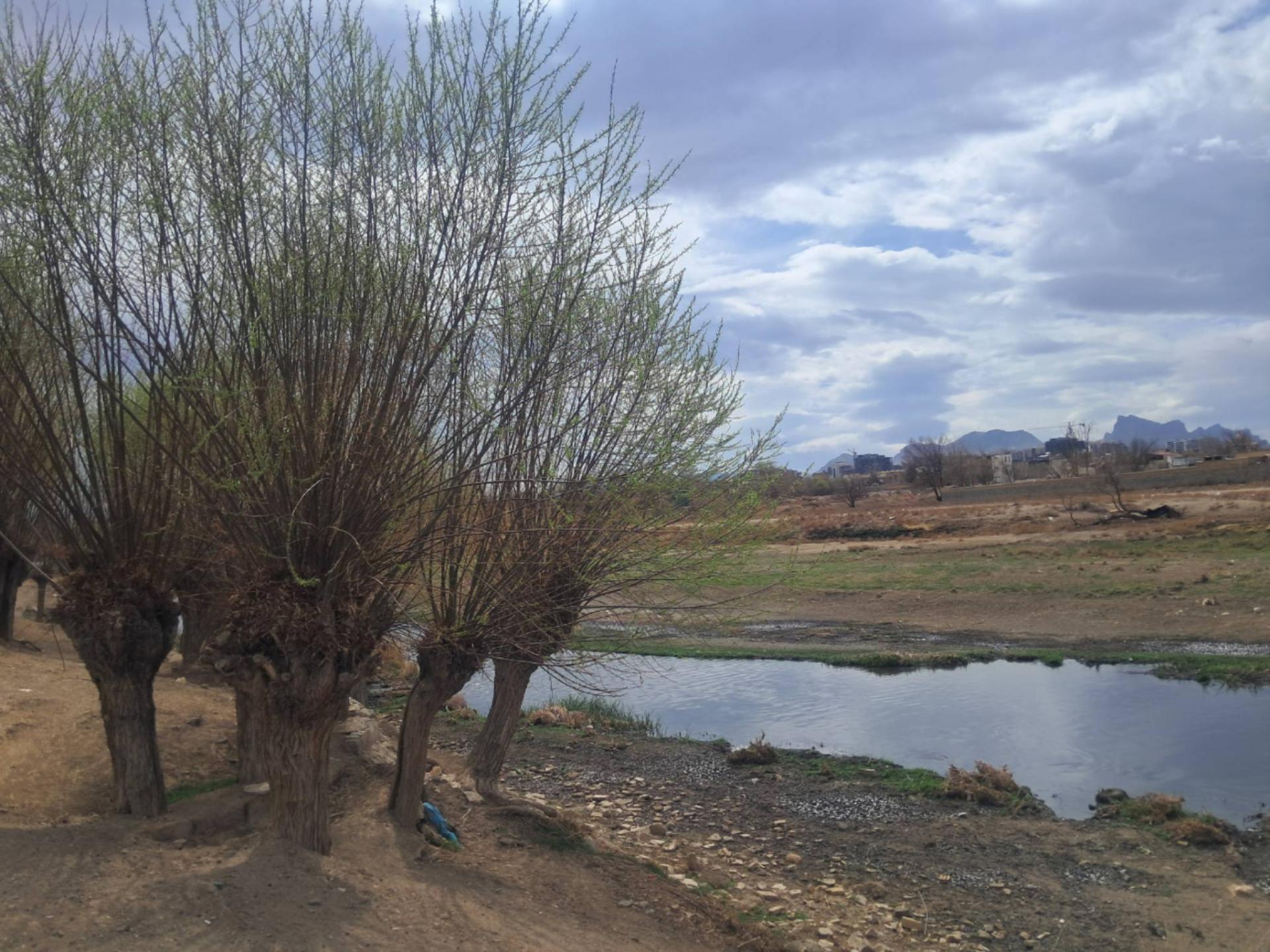 عکس امامزاده سلطان ابراهیم ابن موسی ابن جعفر - زوان جی