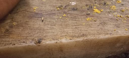 عکس کلیسای سنت استپانوس مقدس