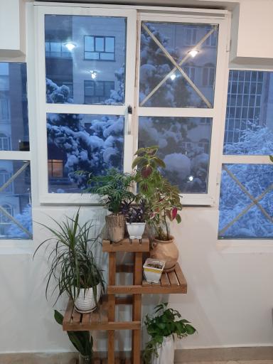 کلینیک روانشناسی و مشاوره پذیرش و تعهد