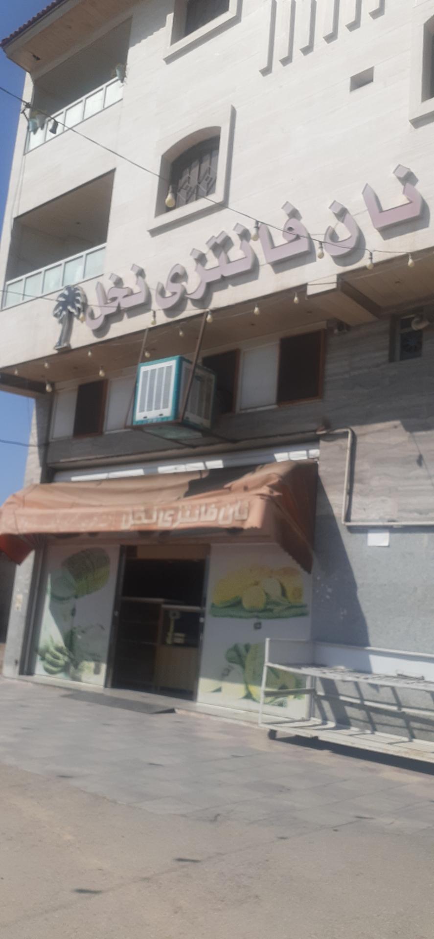 عکس نان فانتزی نخل