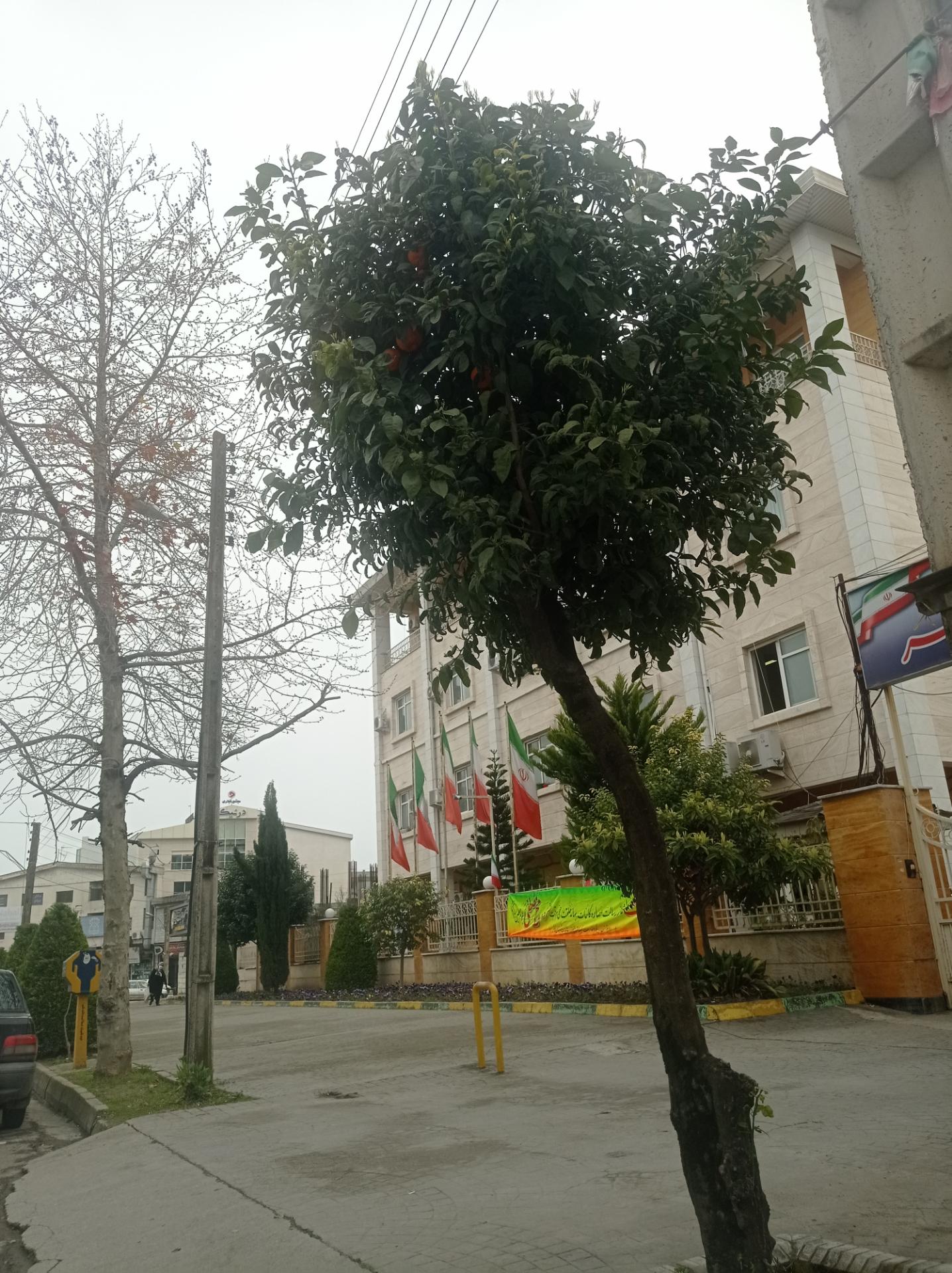 عکس فرمانداری نوشهر