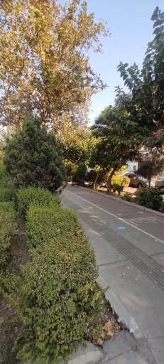 عکس بوستان استقلال