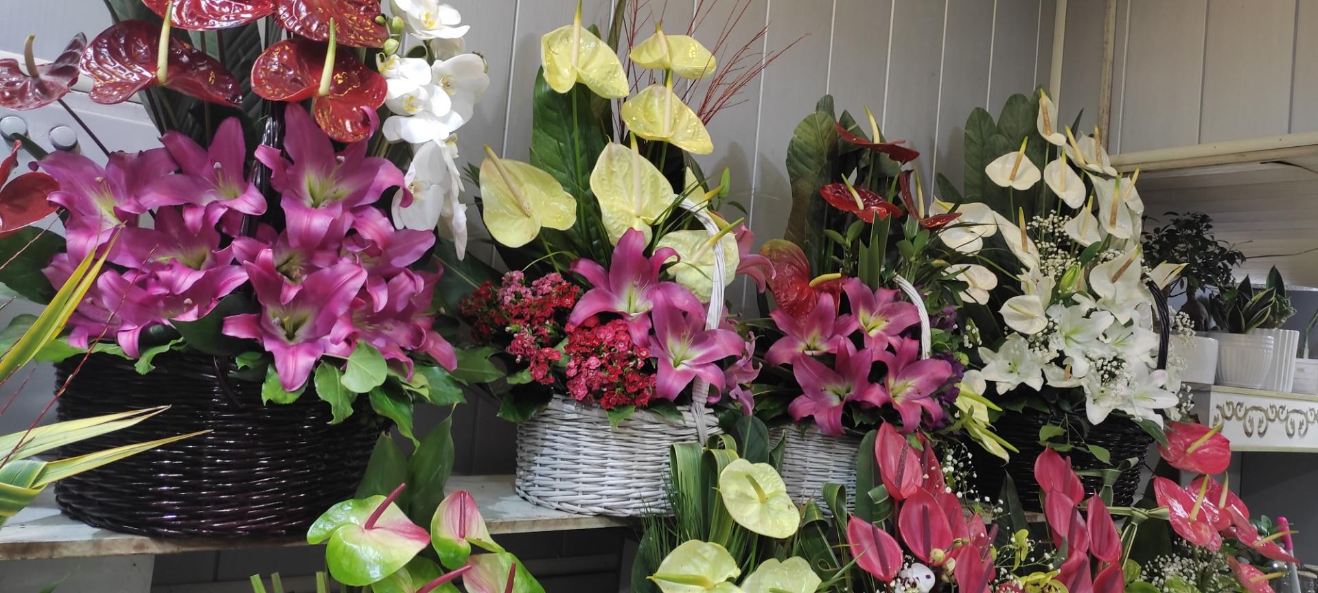 عکس گل فروشی زعفرانیه