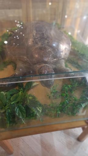 عکس خانه علم و آسمان نما