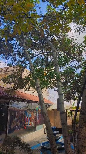 عکس سفره خانه ارسلان 