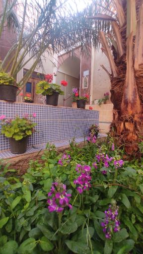 عکس اقامتگاه بومگردی نگارین