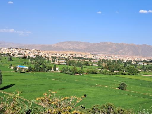 عکس میانه