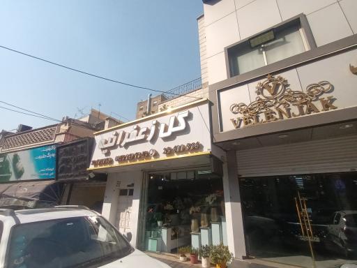 عکس گل فروشی زعفرانیه