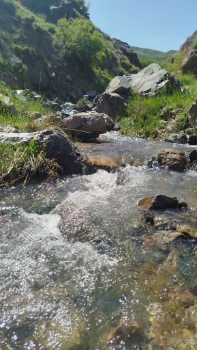 عکس میانه