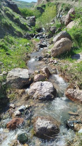 عکس میانه