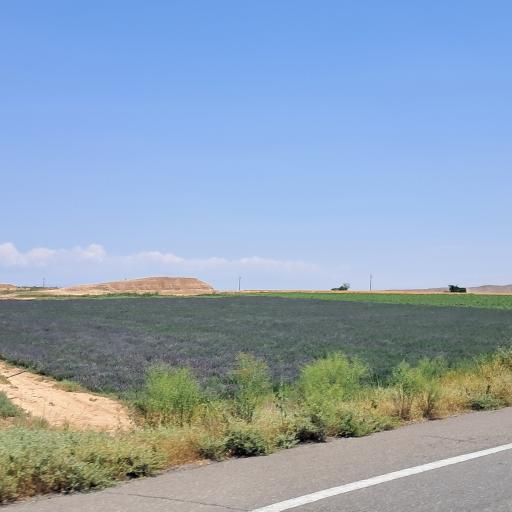 عکس میانه