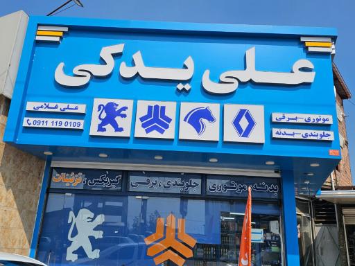عکس علی یدکز