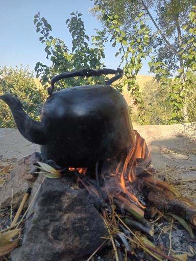 عکس میانه