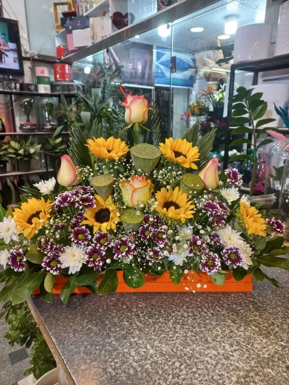 عکس گل مینیاتور